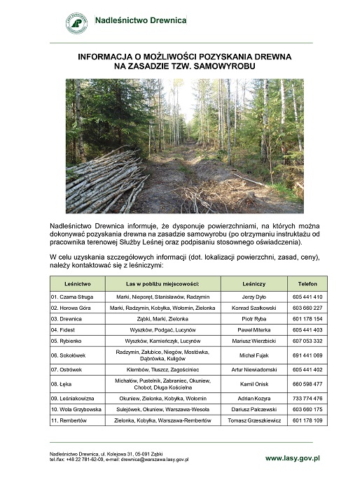 zdjęcie lasu i ścietych brzóz. Informacja dotycząca poyskania drewna na zasadzie samowyrobu na terenie Nadleśnictwa Drewnica 